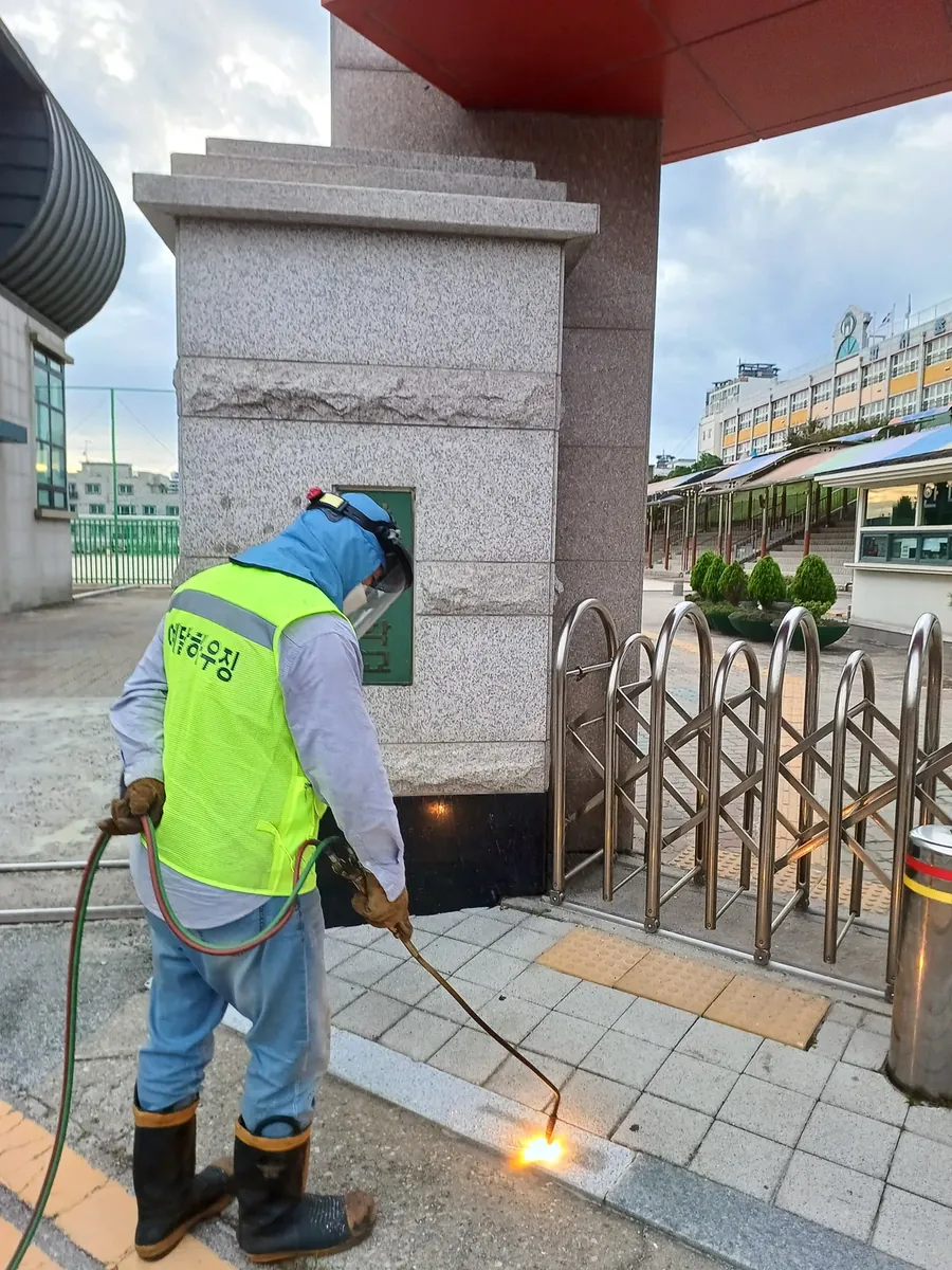 수원 초등학교 정문앞 경계석미끄럼방지 시공 현장 — 학교